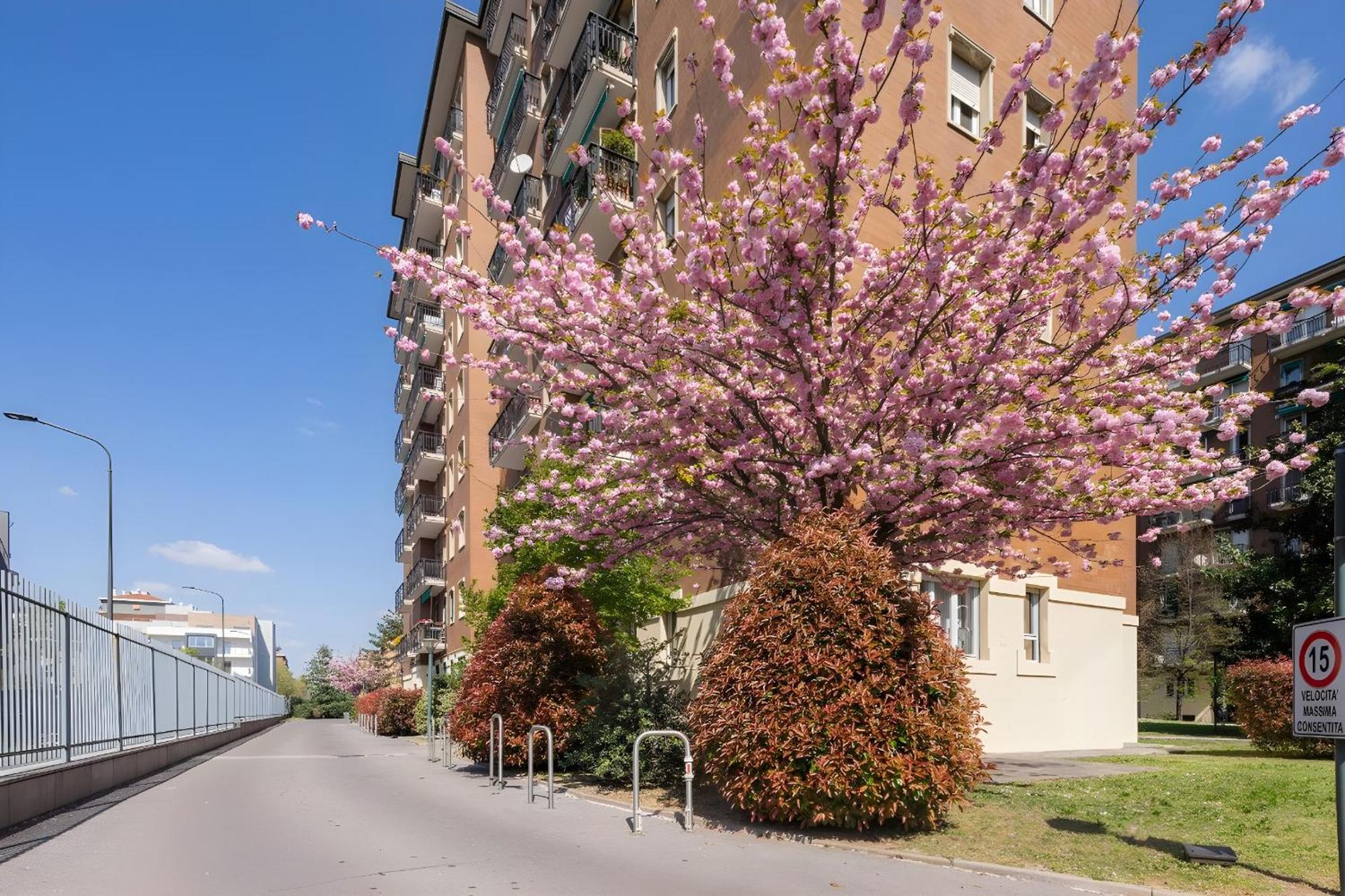 San Siro Arty And Cute Room - Homestay Con Bagno Privato, Milan
